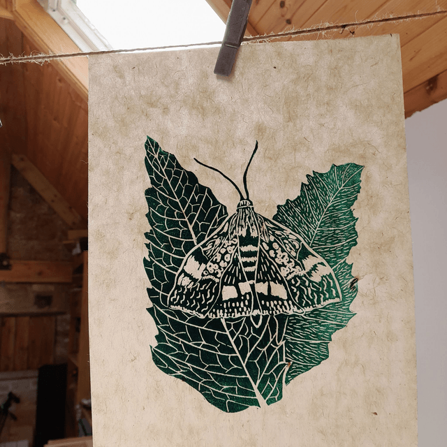Mint Moth