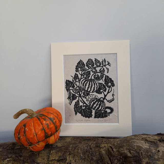 Carnival Squash
