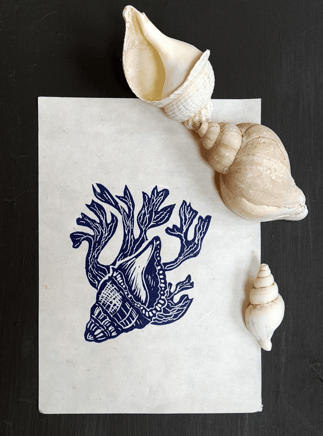 Whelk