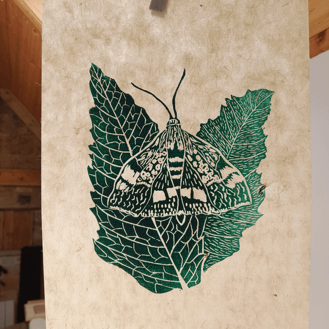 Mint Moth